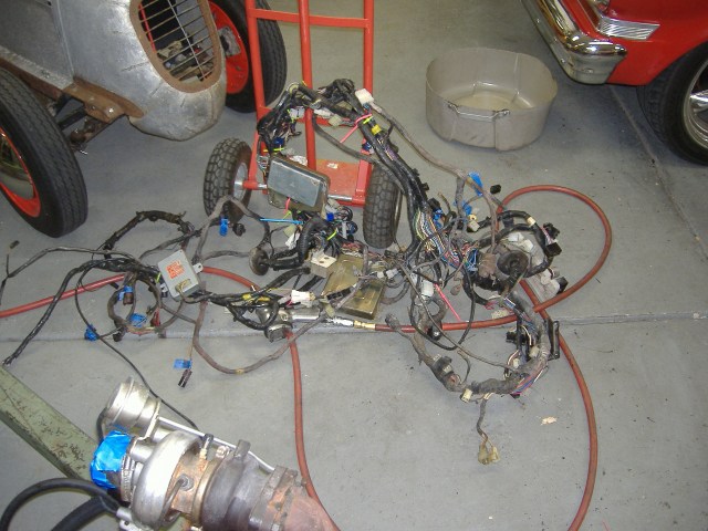 Turbo Arrow Conquest Harness