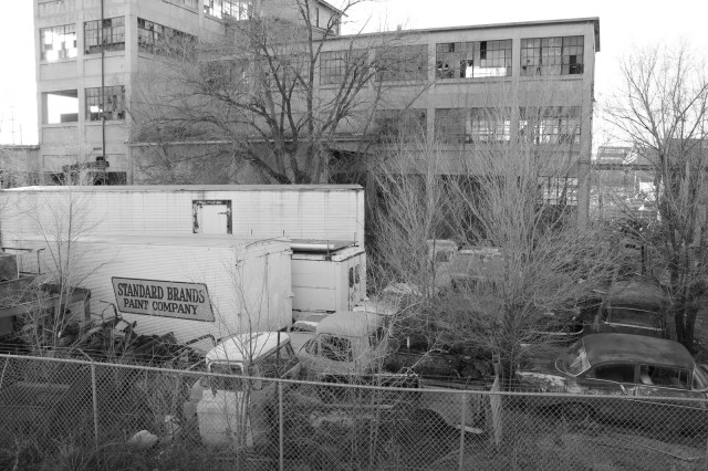 Need That Car Photoshoot